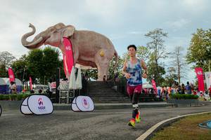 BIB: 
                            <button type="button" onclick="openModal(26529119)" class="btn btn-primary btn-sm float-right btn-popup" data-toggle="modal" data-target=".modal-high-quality">
                        <i class="fas fa-shopping-cart"></i> Add to Cart
                    </button>
                                            <button type="button" onclick="isThisMe(26529119, true)" class="btn btn-success btn-sm float-right btn-popup btn-isme hidden" data-toggle="tooltip" data-placement="bottom" title="นี่คือรูปของคุณใช่ไหม คลิกที่นี่เพื่อเอาเข้าอัลบั้ม">
                        <i class="fas fa-plus"></i> Add to album
                    </button>
                    <button type="button" onclick="isThisMe(26529119, false)" class="btn btn-warning btn-sm float-right btn-popup btn-isnotme hidden">
                        <i class="fas fa-ban"></i> Remove from album
                    </button>